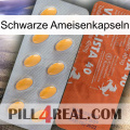 Black Ant Capsules 43